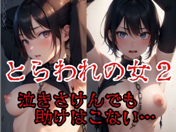 囚われの女2