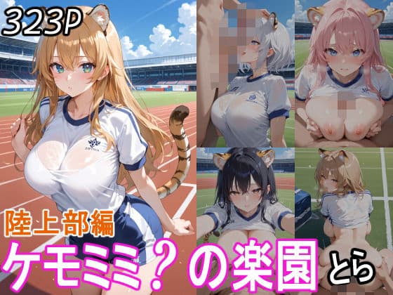 ケモミミ？の楽園  とら  陸上部編