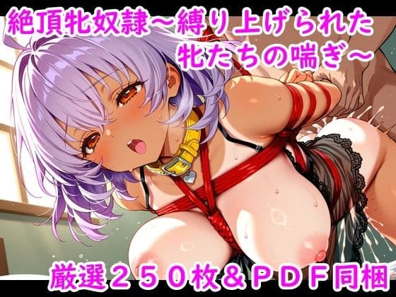 絶頂牝奴●〜縛り上げられた牝たちの喘ぎ〜