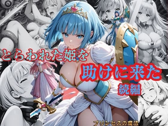 とらわれた姫を助けに来た  続編  サファイア編