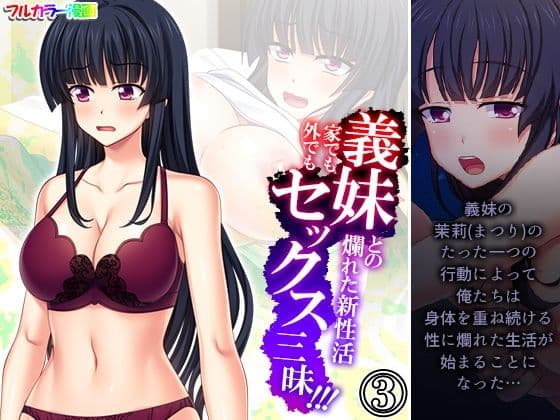 義妹との爛れた新性活！家でも外でもセックス三昧！！ 3巻