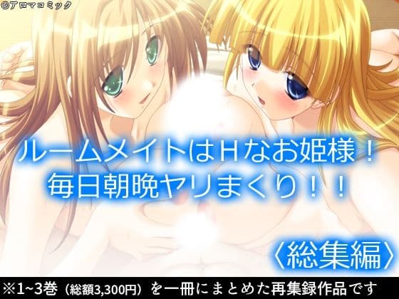ルームメイトはHなお姫様！毎日朝晩ヤリまくり！！  ＜総集編＞