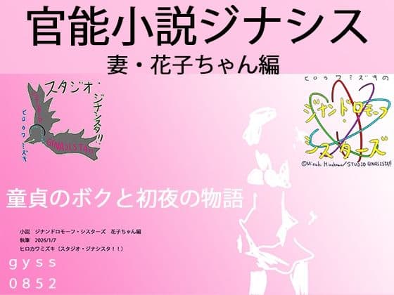 官能小説:若妻・花子と僕の初夜