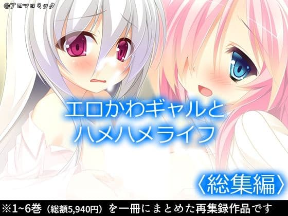 エロかわギャルとハメハメライフ  ＜総集編＞