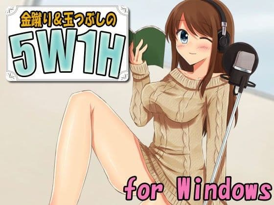 金蹴り玉つぶしの5W1H（Win用）