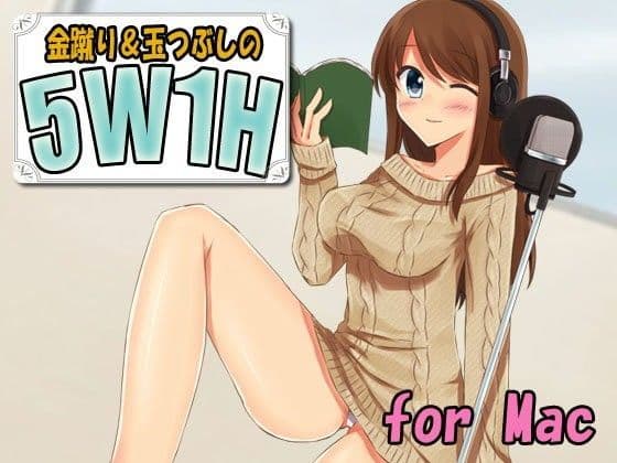 金蹴り玉つぶしの5W1H（Mac用）