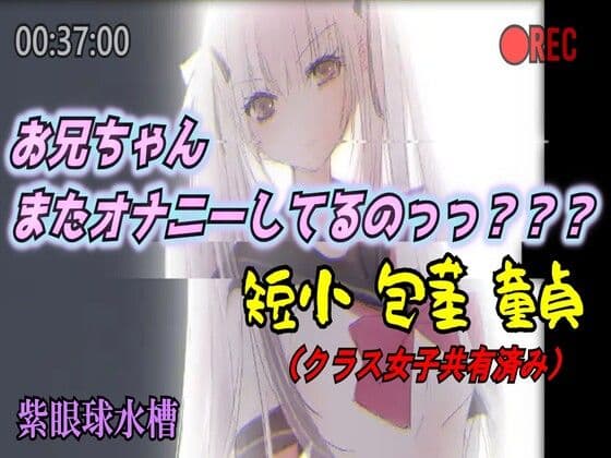 お兄ちゃんまたオナニーしてるのっっ？？？ セイラ編 〜短小・包茎・童貞なマゾオナニー〜
