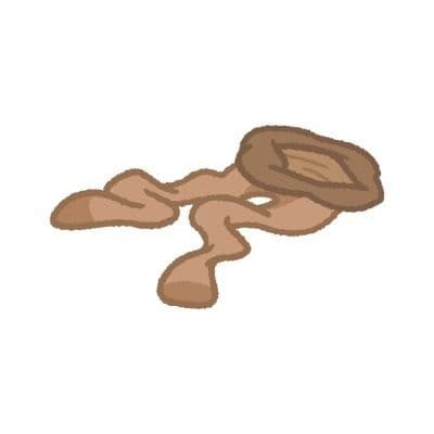 世間知らず無知お嬢様の無自覚ペット扱い＆ストッキング足コキ